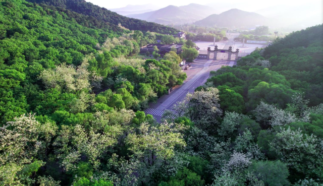 @黑吉蒙居民，千山携鞍山众景区免票特惠，速来get