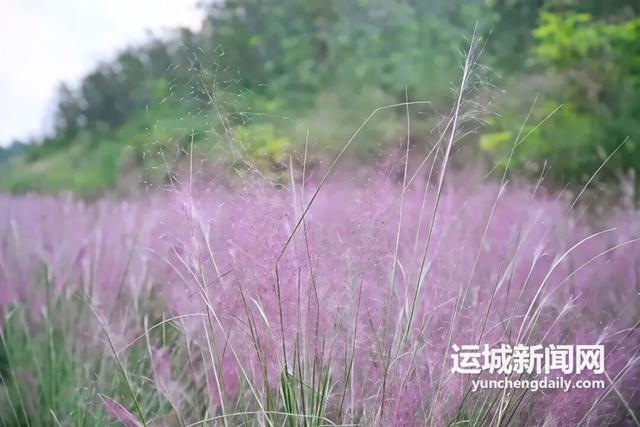 运城秋日的N种浪漫