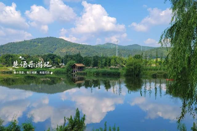 浙江宁波这片花海又火了，被称为夏末的莫奈花园，堪称绝美赏花地