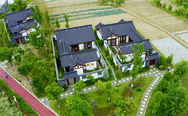 四川省新津区历史沿革及行政区划