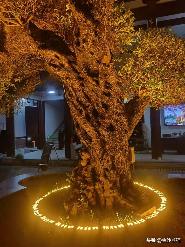 从厦门到漳浦诞生此行第一胎 品美味河豚 双龙连续第三年千里双骑9