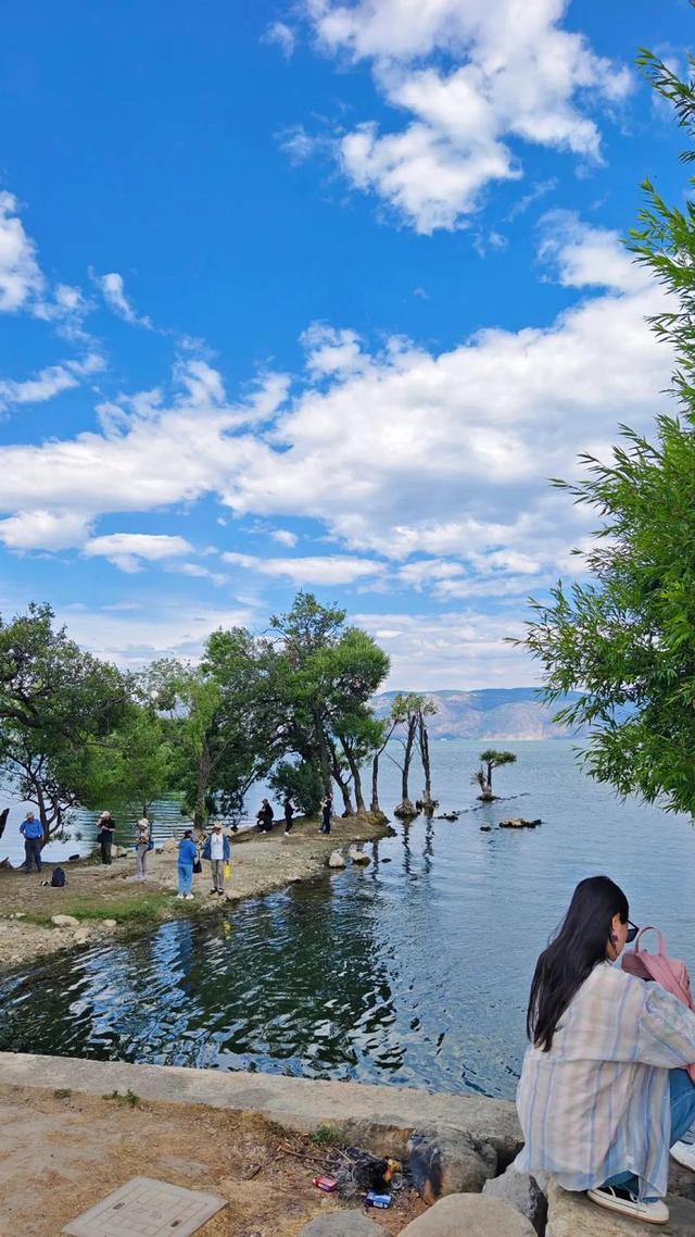 为啥现在人人都爱自驾旅游，而不是跟团游？