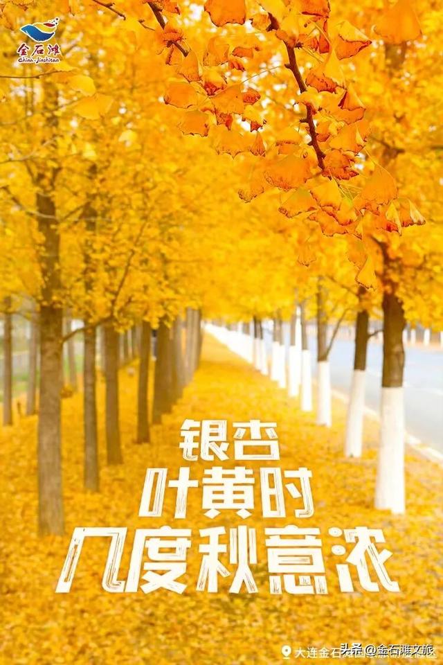 金石滩金秋限定款攻略