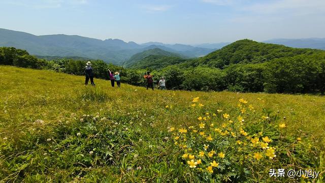 两次本溪南岭徒步记｜高山草甸，湖池松林，我被南岭种草