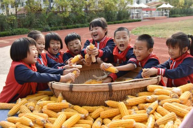 田间废品变赚钱利器！丝瓜络年出口达2000万，城巴佬钱真好赚！