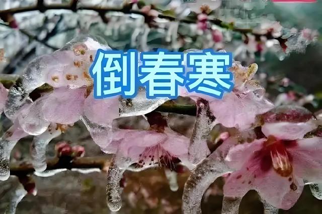 “白天冬至暖烘烘，晚上冬至冻死牛”，今年冬至几点？有何说法？