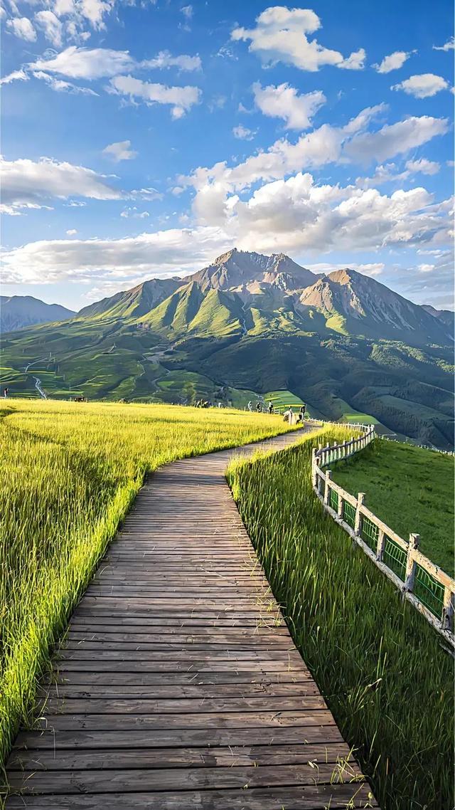 让我念念不忘的祁连秘境：雪山、草原、森林，西北私藏的治愈天堂