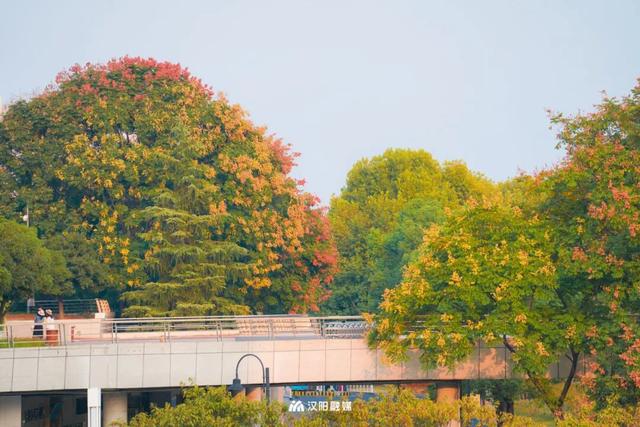 汉阳，变色……了