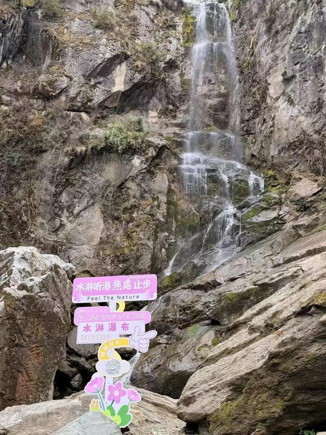 广元不远 周末优选 | 又是紫荆又是奖牌的，唐家河你成功引起了我的注意！