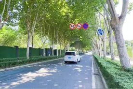 解锁城市新秘境：金融港四路绿荫下的诗意生活图片