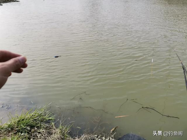户外钓鱼的3个“损招”，有点不讲武德，但效果出奇的好