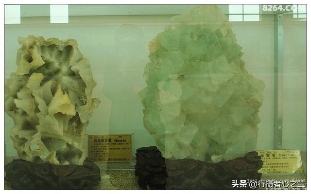 山东行游影记（31）—平邑天宇自然博物馆（六）