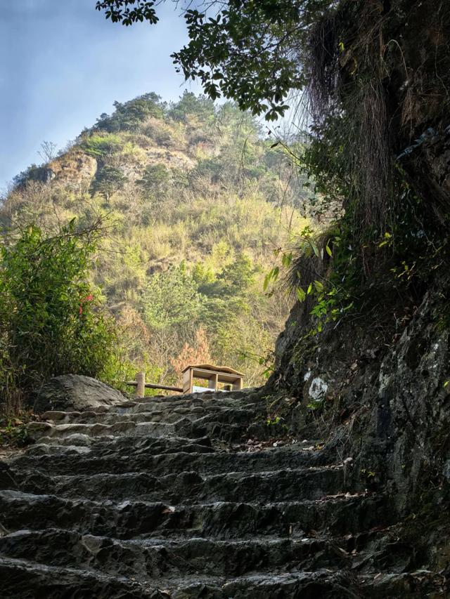 因何而徒，步履发声——徒步众生相