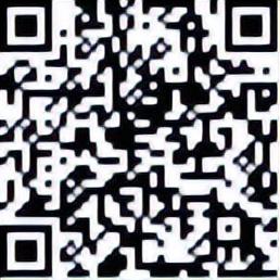 定州30余项多业态融合文旅活动，畅玩整个新年！