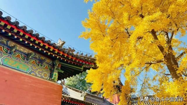 山河故村：郭村泰山庙杂忆