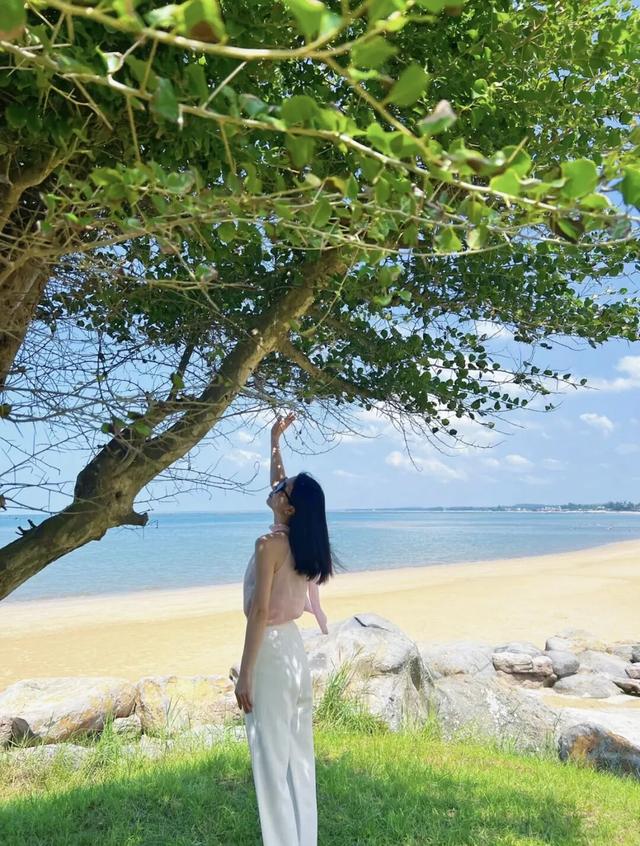 出片率超高！湛江宝藏海景机位，藏在“隐秘的角落”