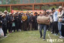 米林市第16届黄牡丹藏医药文化活动民族传统运动竞赛在扎贡沟举行图片