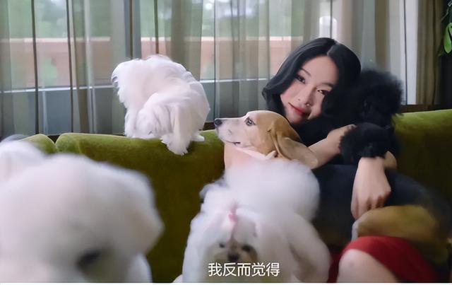 霍思燕北京的家似庄园，奢华的令人咂舌，父母双亡养一堆宠物感藉