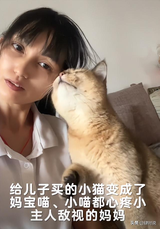 离异妈妈独自养儿子14年，孩子却转身投奔父亲，哭诉：猫都能养熟
