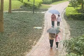 新一股冷空气到货！南宁阴天和小雨“续杯”图片