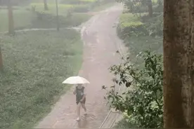 广西3条河流现超警洪水！图片