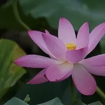 又一批“济南寻美客”出炉！欢迎你也来将济南的美定格