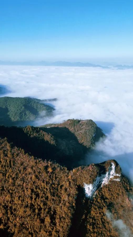 初冬清晨的余庆似“蓬莱仙境”！