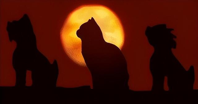 故宫有200多只猫，从未有人驱赶，单霁翔院长：它们是活着的文物