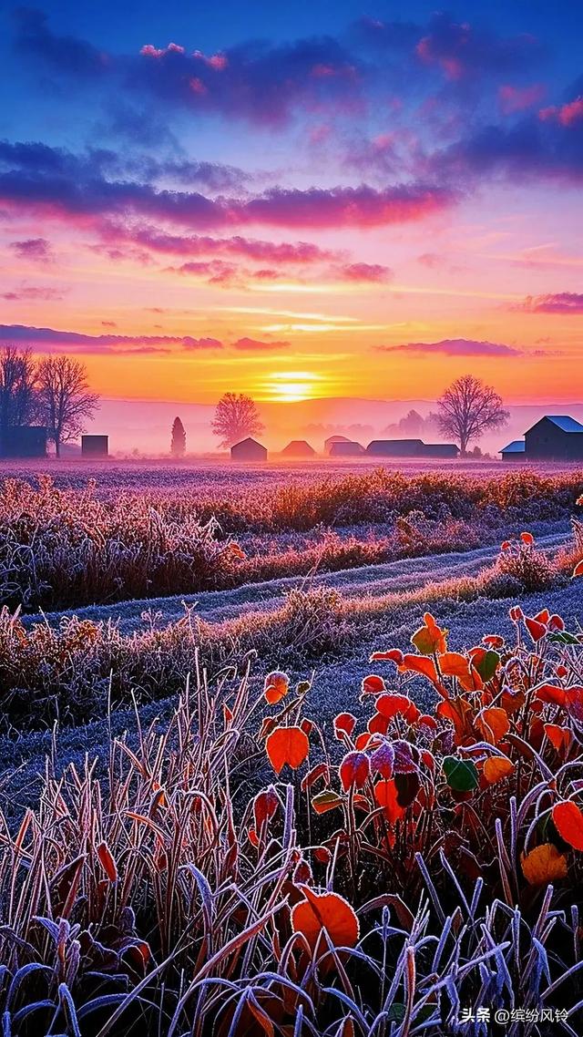 明日霜降，一朝秋暮，遍地霜华