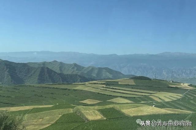 【青海在线网·散文】是旅游，也是回味