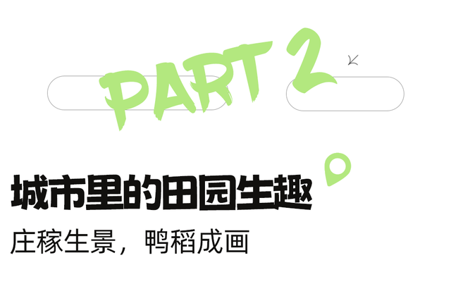 地铁直达！美爆！成都8个秋日限定美景上新！实拍免费，抓紧时间冲！