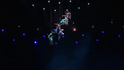 手慢无！汉中兴汉胜境元旦早鸟票开售！