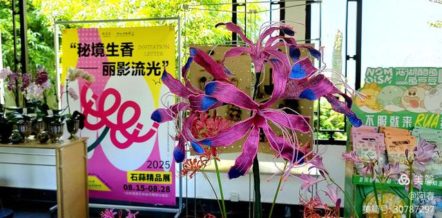游西湖：杭州植物园之石蒜花展