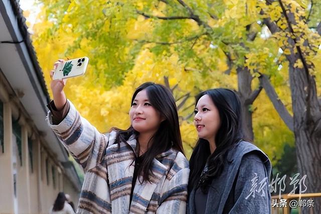 丛台金叶映笑颜 市民乐享好时光