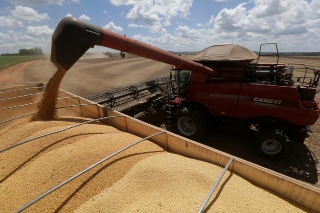 美大使通知中方，交出港口，否则后果自负，中国对美大豆采购停滞