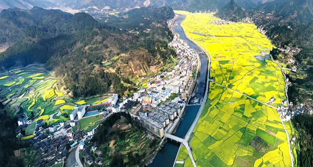 村游碧江丨3月7日来瓦屋，赴一场春日花海之约