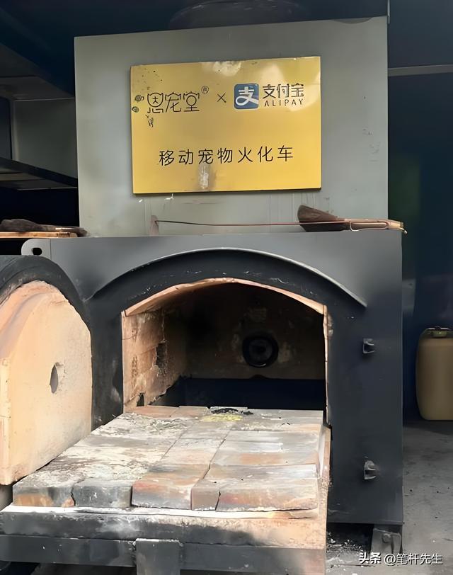 1.2亿养宠家庭催火“死亡生意”！2024年每天6家公司入局