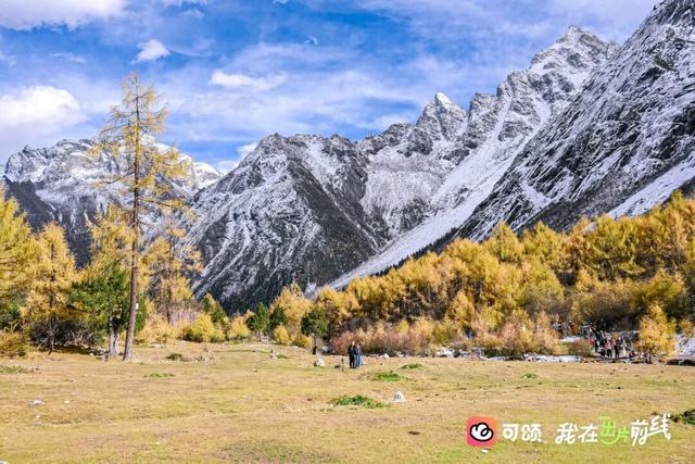 打卡彩林“天花板”！毕棚沟x可颂采风活动圆满结束！