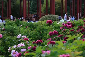 73岁的郑州市人民公园，正在上新图片