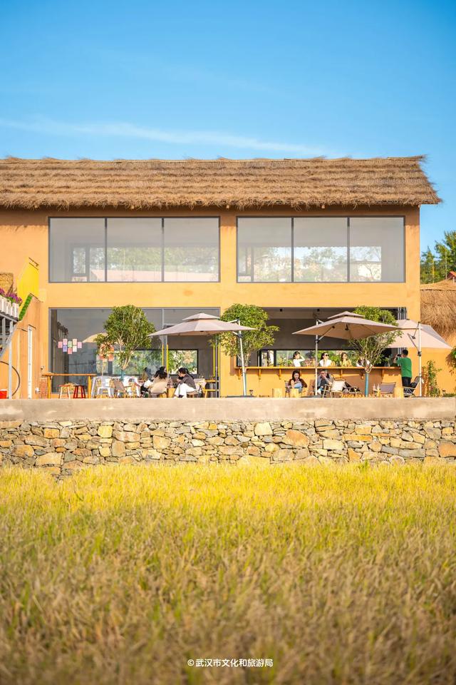 会玩的武汉人,都回村过秋天了