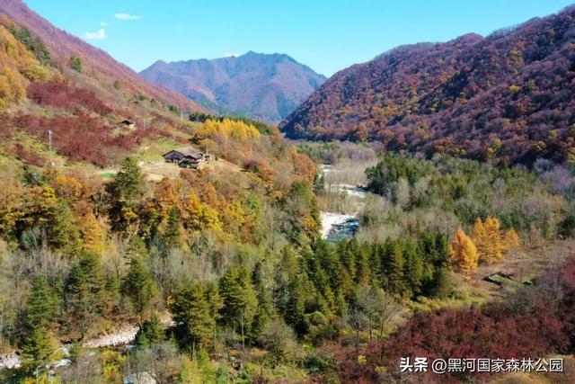 黑河的美,一直都在 | 云游黑河的秋日画卷