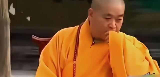 释永信被查第8天，恶心一幕出现，王诗龄受牵连，评论区不堪入目