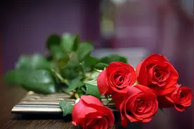 晨读 | 开叉车的女人图片