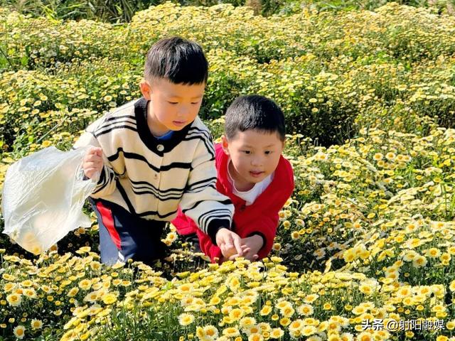 看完这朵看那朵🤩