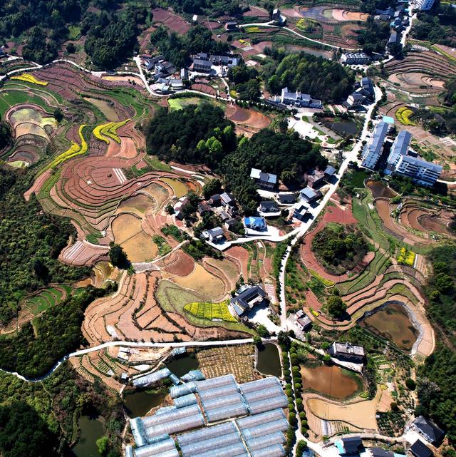 江津关胜：岁月沉淀的土地