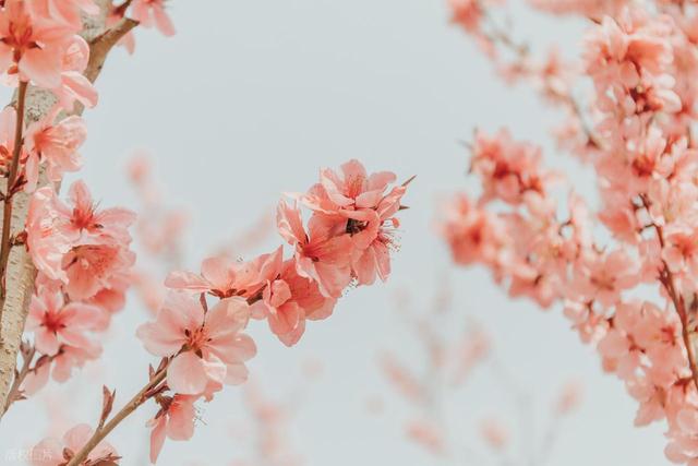 我的旅居生活：在苗族村寨，我们枕着溪水声入眠