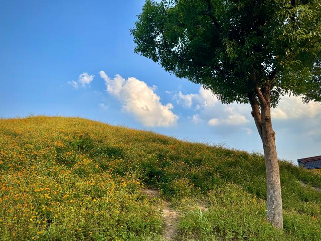 碧云花园，藏着江南阿勒泰！