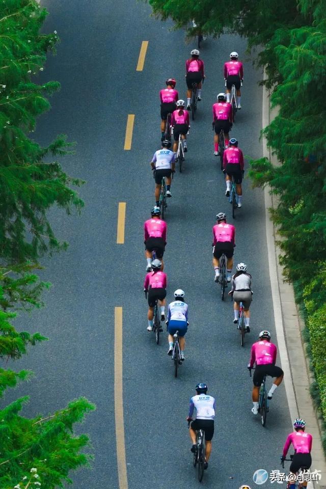 这一年，昆山“链”出一路好风光