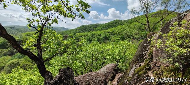 没去过的建议去看一看——牡丹江三道关“小黄山”景区