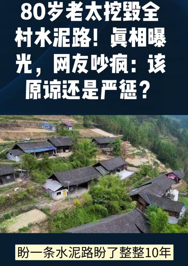 老太破路后续：毁路亏5000多涉违法，子女连夜召回，村干部揭真相